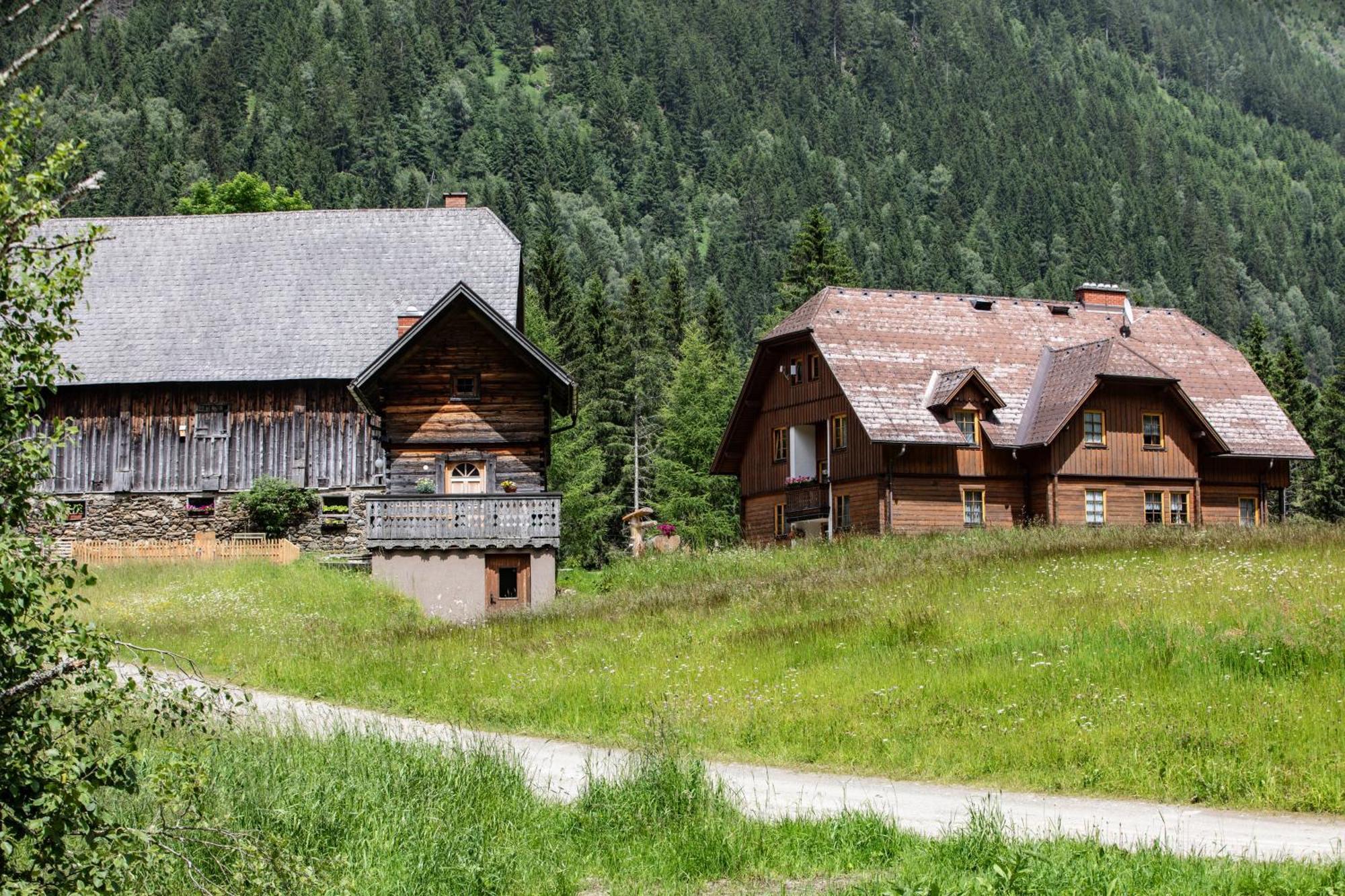 Zettler Donnersbachwald